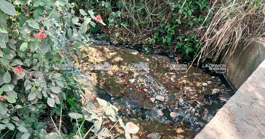 Planta de tratamiento genera foco de infección para el sector Fraternidad Antorchista Planta de tratamiento genera foco de infección para el sector Fraternidad Antorchista