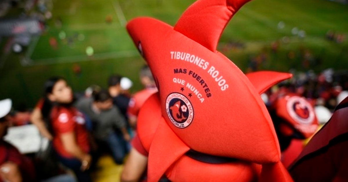 QUIEREN REVIVIR A LOS TIBURONES QUIEREN REVIVIR A LOS TIBURONES