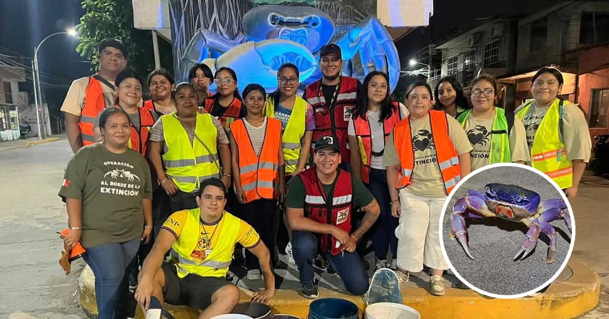 Anuncian evento benéfico “Voces por la Vida Silvestre” en apoyo a la fauna de la región Anuncian evento benéfico “Voces por la Vida Silvestre” en apoyo a la fauna de la región