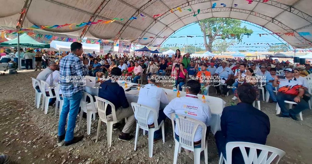 Foro para financiamiento y el desarrollo citrícola Foro para financiamiento y el desarrollo citrícola