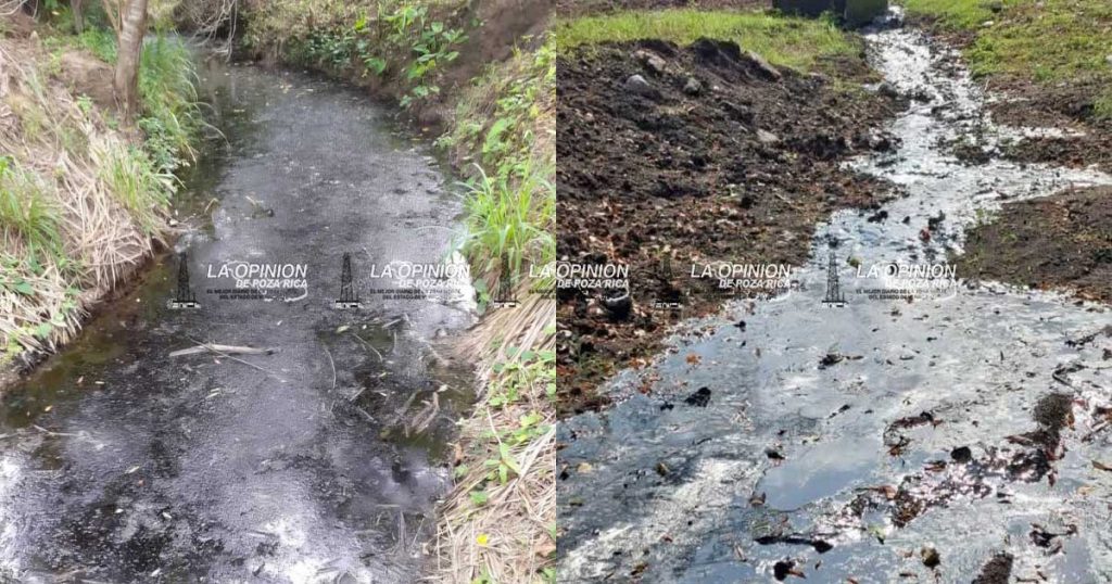 Grave contaminación por escurrimiento de aceite Grave contaminación por escurrimiento de aceite