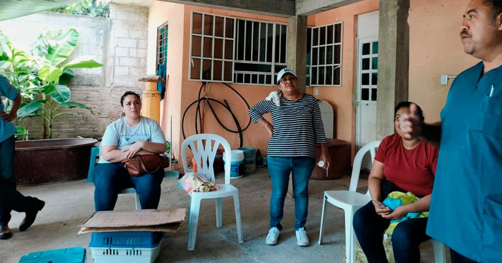 Realizan campaña de esterilización gratuita; suman 92 intervenciones Realizan campaña de esterilización gratuita; suman 92 intervenciones