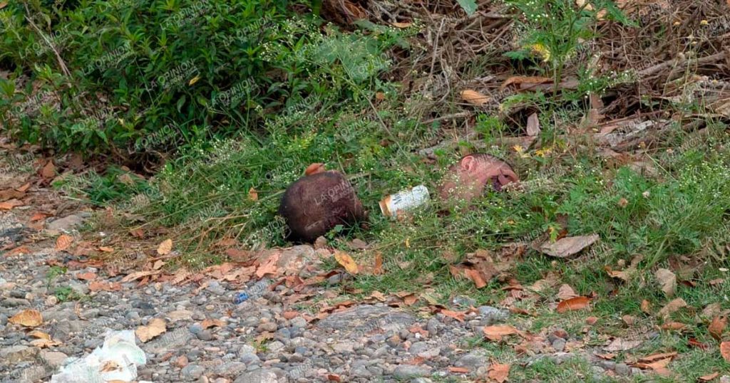 SIN IDENTIFICAR, CABEZAS HALLADAS SIN IDENTIFICAR, CABEZAS HALLADAS