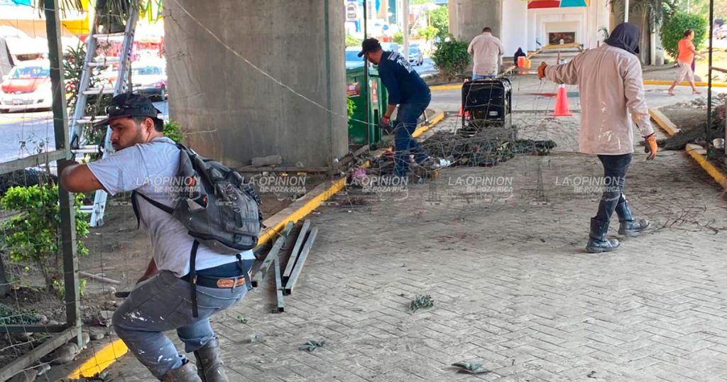 Embellecen la parte baja del Distribuidor Vial Embellecen la parte baja del Distribuidor Vial