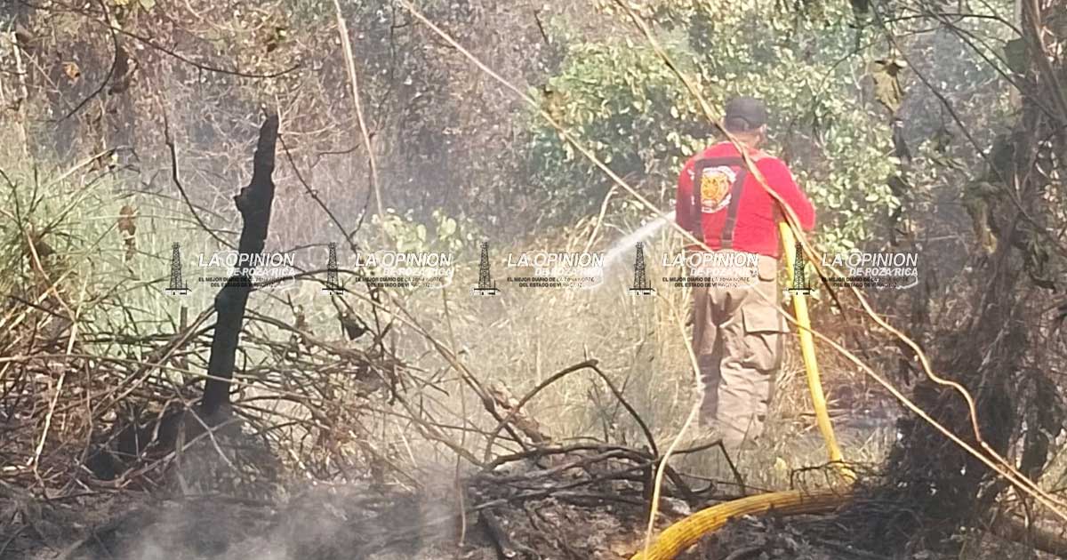 Bomberos, listos ante inicio de temporada de incendios Bomberos, listos ante inicio de temporada de incendios