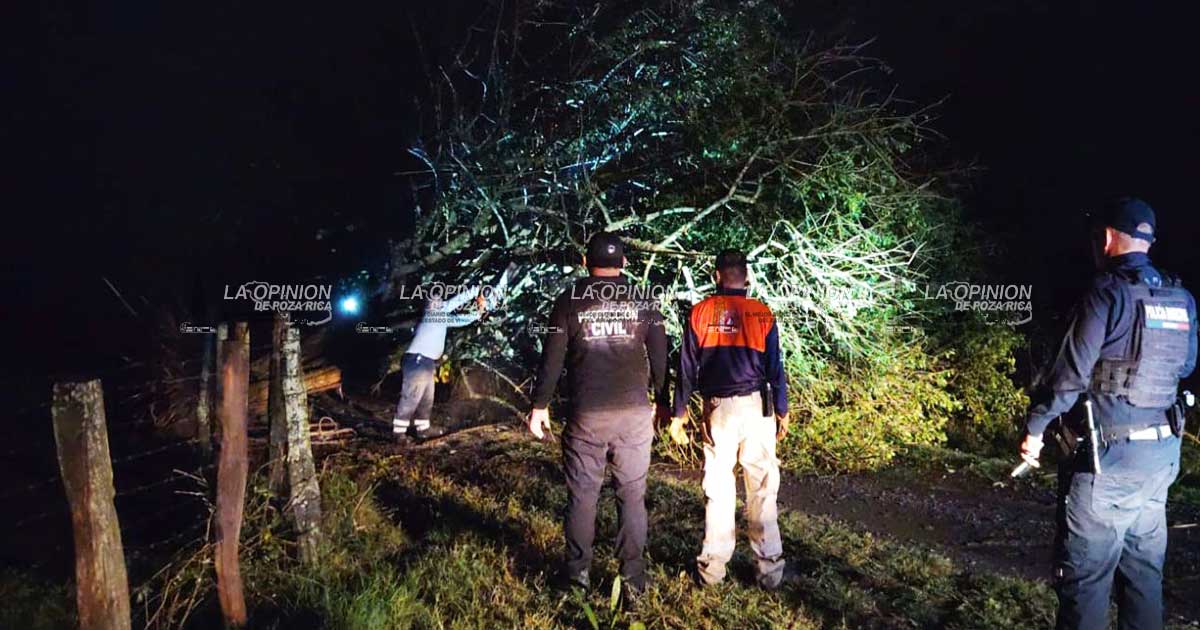 Tornado causa destrozos en localidad Tornado causa destrozos en localidad