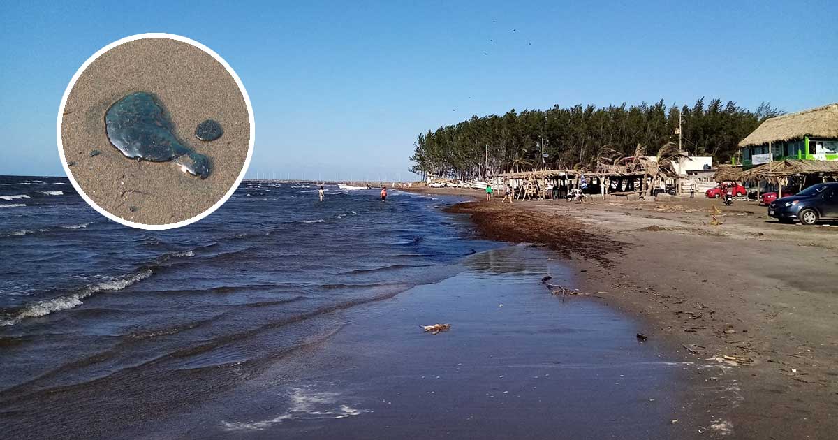 Turismo baja y afecta a prestadores de servicios por hidrocarburo Turismo baja y afecta a prestadores de servicios por hidrocarburo