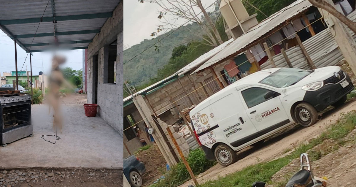 Denuncian presunto caso de maltrato animal en colonia Las Granjas; ya es investigado Denuncian presunto caso de maltrato animal en colonia Las Granjas; ya es investigado