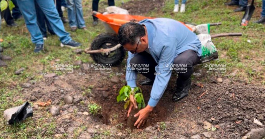 Universidad Veracruzana impulsa segunda jornada de reforestación “Raíces de Futuro”