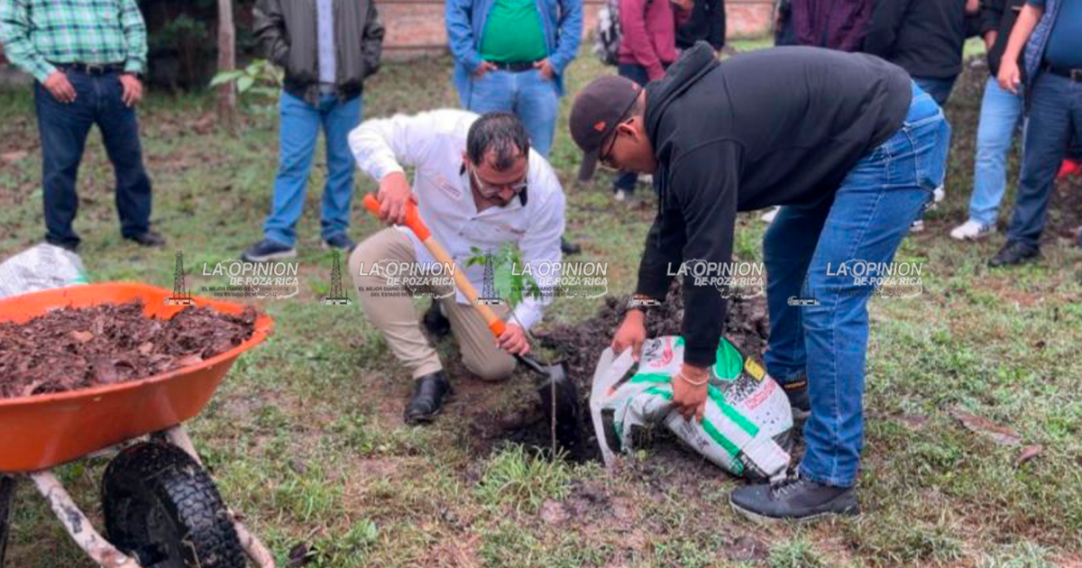 Universidad Veracruzana impulsa segunda jornada de reforestación “Raíces de Futuro”