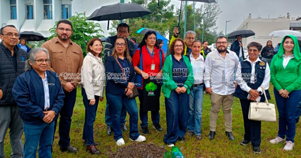 Universidad Veracruzana impulsa segunda jornada de reforestación “Raíces de Futuro”