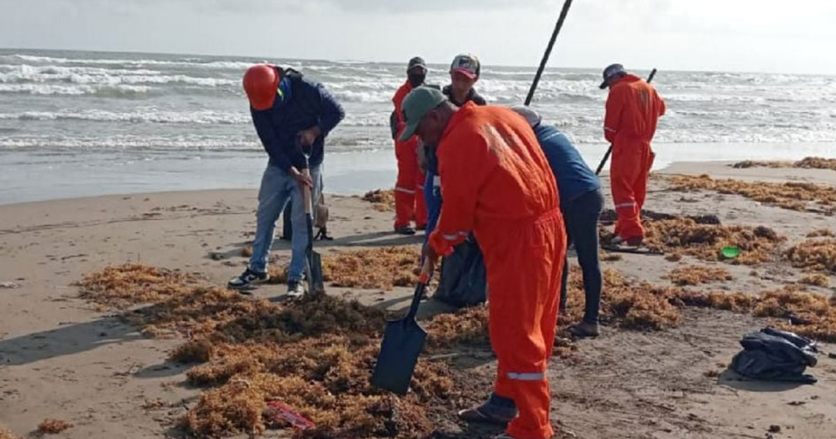 Pescadores de Alvarado, un mes sin trabajo por contaminación