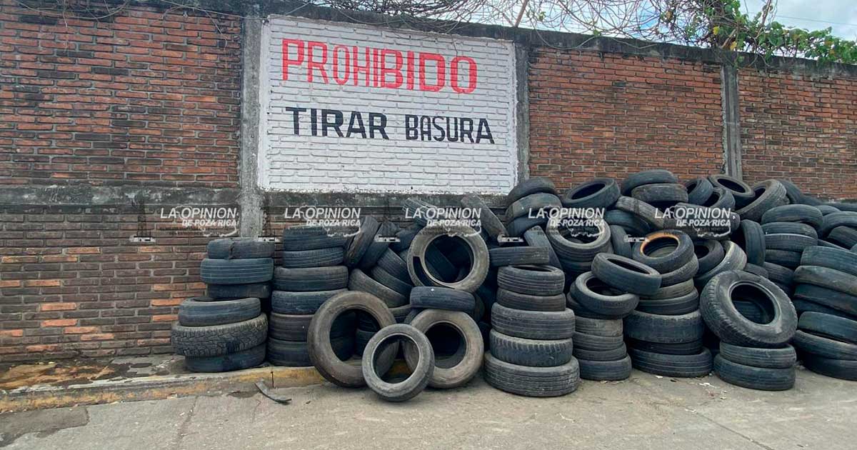 Cientos de llantas generan presencia de mosco en el parador Urbano Cientos de llantas generan presencia de mosco en el parador Urbano