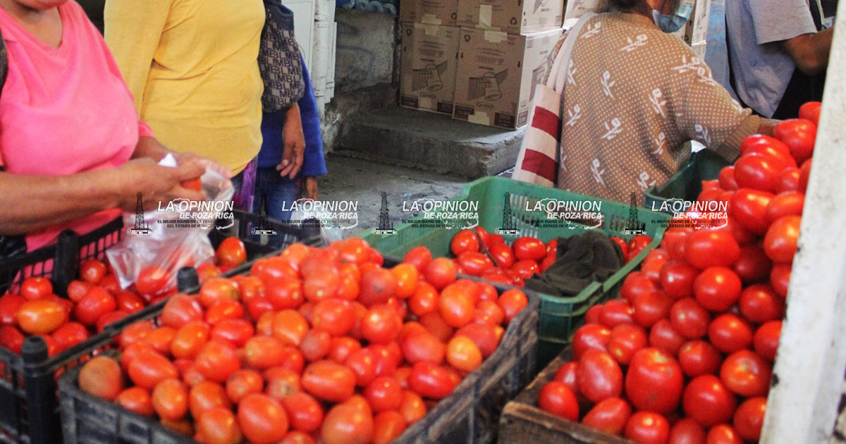 ¡Otra vez! Por las nubes, precio del tomate y la papa