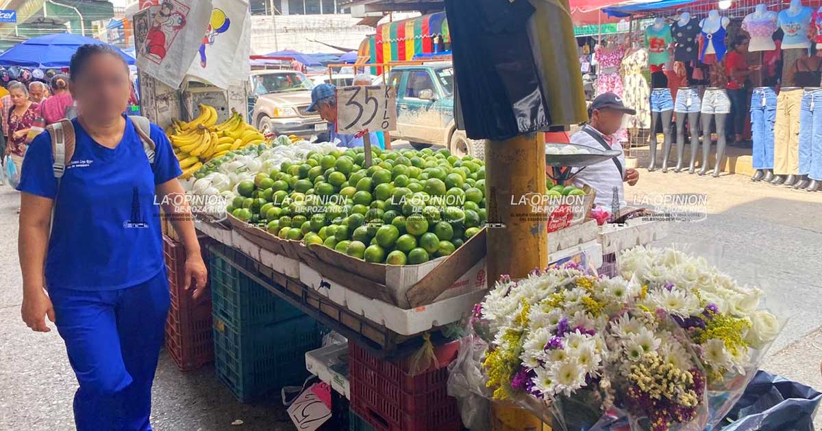 Baja precio del kg de limón, beneficiando a sectores productivos Baja precio del kg de limón, beneficiando a sectores productivos