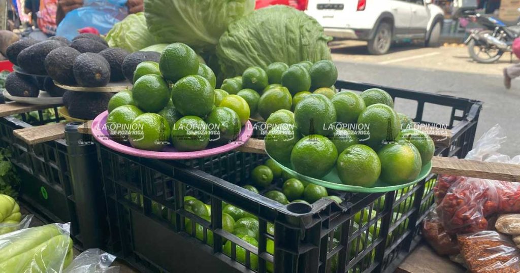 Baja precio del kg de limón, beneficiando a sectores productivos Baja precio del kg de limón, beneficiando a sectores productivos