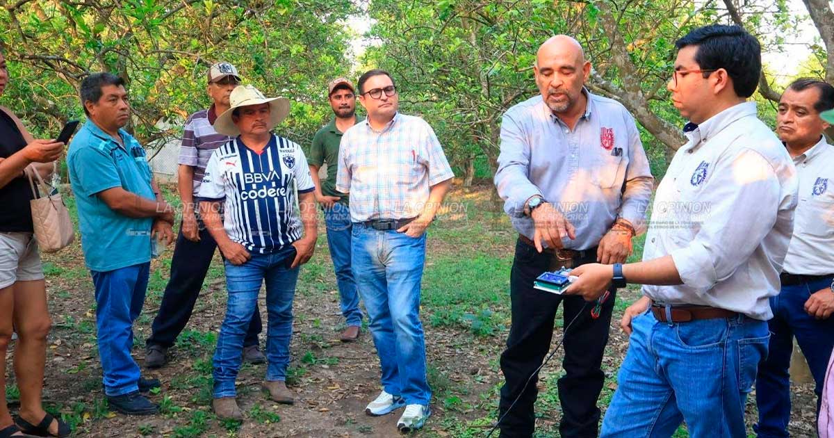 Impulsan capacitación agrícola y análisis de suelos Impulsan capacitación agrícola y análisis de suelos