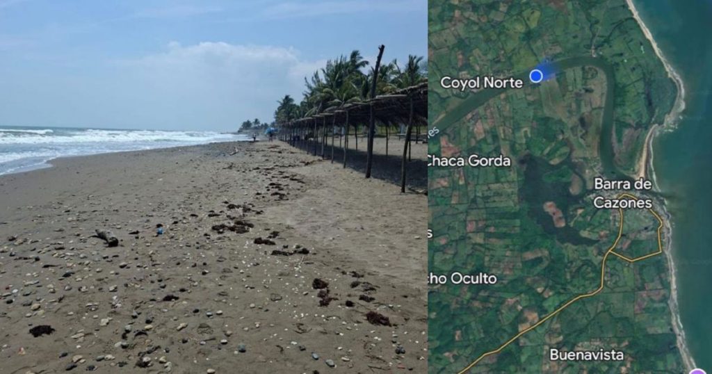 Pemex no vio los peces muertos Pemex no vio los peces muertos