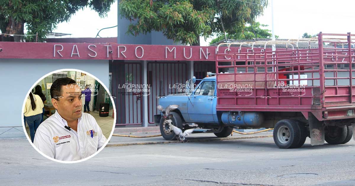 Aumenta 10 por ciento matanza de pollo clandestino en la ciudad Aumenta 10 por ciento matanza de pollo clandestino en la ciudad
