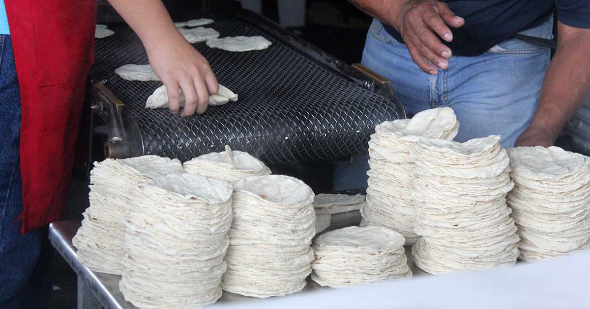 Suben precio de la tortilla Suben precio de la tortilla