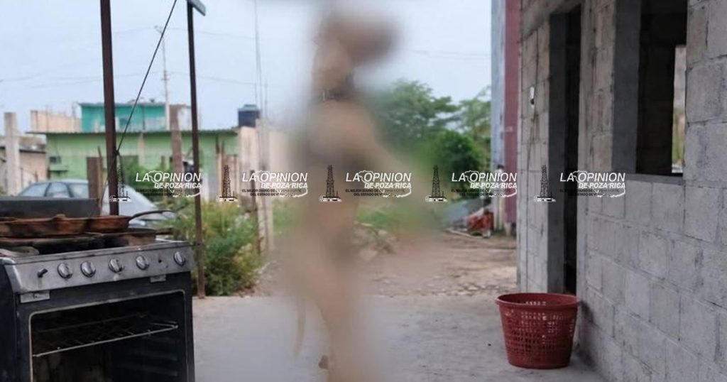 Dan seguimiento a caso de maltrato animal Ampliación Las Granjas; agresor permanece en libertad condicionada Dan seguimiento a caso de maltrato animal Ampliación Las Granjas; agresor permanece en libertad condicionada