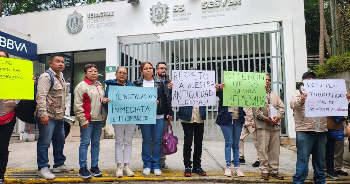 ¡Despiden a más de 100 vectores!