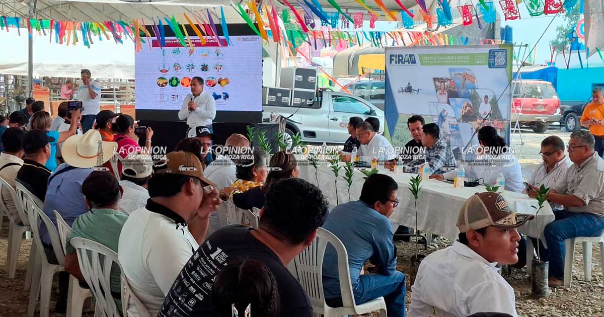 Foro para financiamiento y el desarrollo citrícola Foro para financiamiento y el desarrollo citrícola
