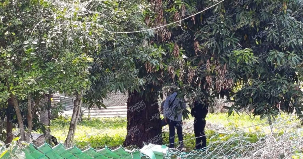 Hallan sin vida a hombre al interior de su vivienda Hallan sin vida a hombre al interior de su vivienda