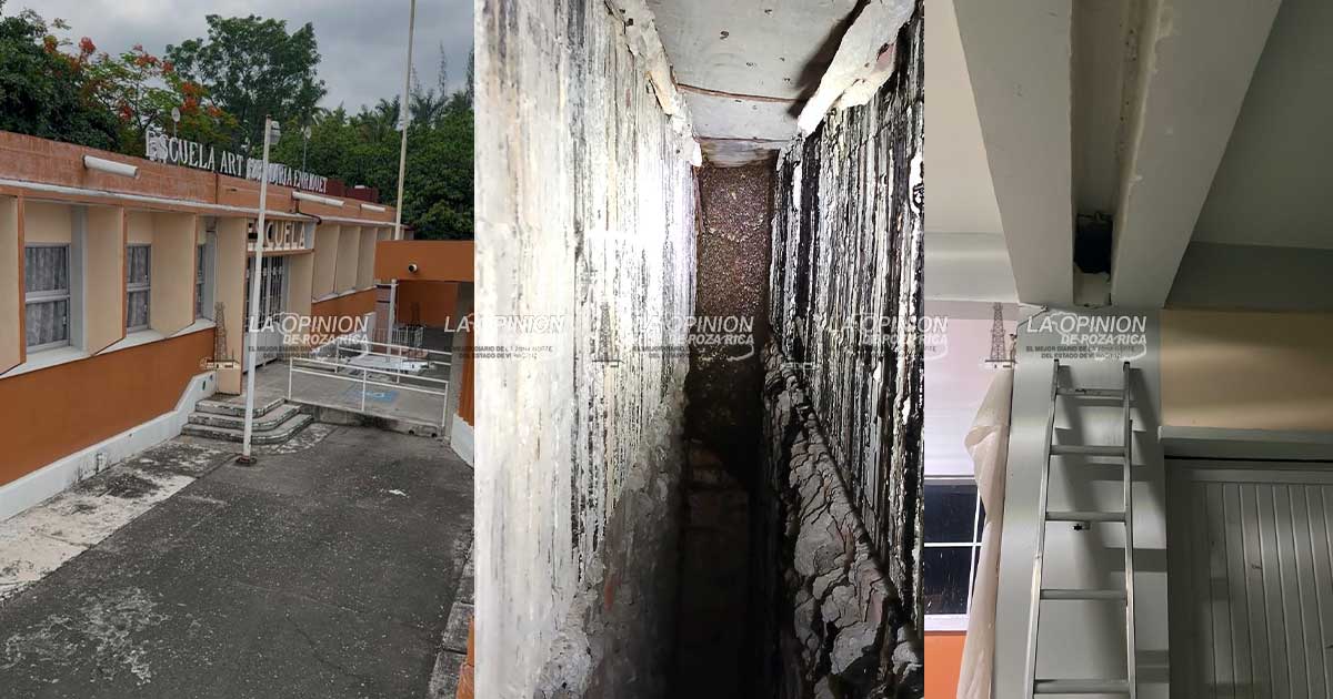 Protección Civil atiende enjambre de abejas en la Maria Enriqueta