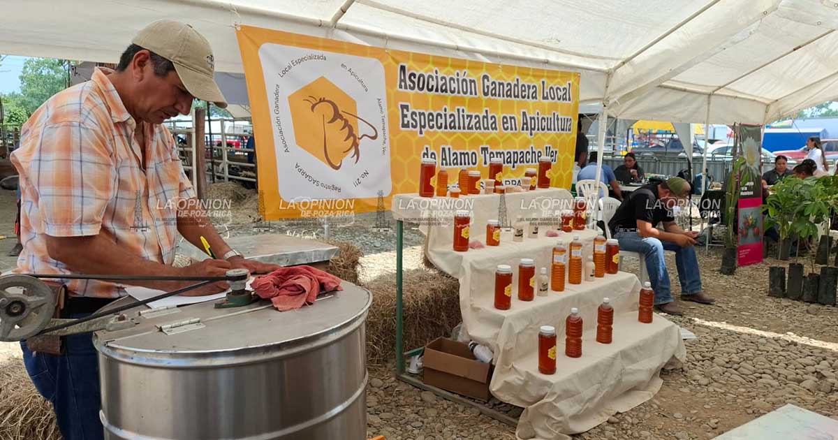 Alerta entre apicultores ante grave amenaza para las abejas