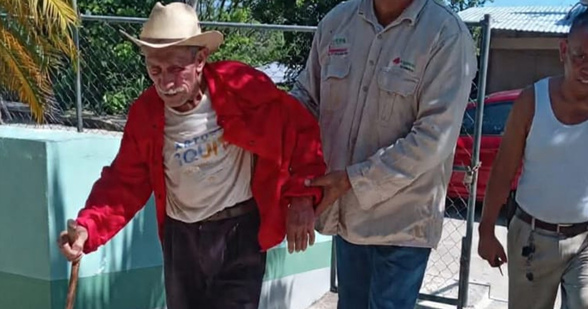 Abuelito resulta atacado por enjambre de abejas Abuelito resulta atacado por enjambre de abejas