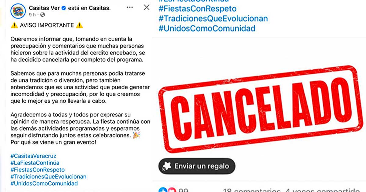 Cancelan actividad del 'cerdito encebado' tras críticas ciudadanas