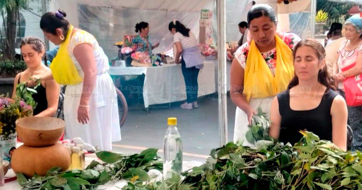 Proponen Día Estatal de la Medicina Tradicional