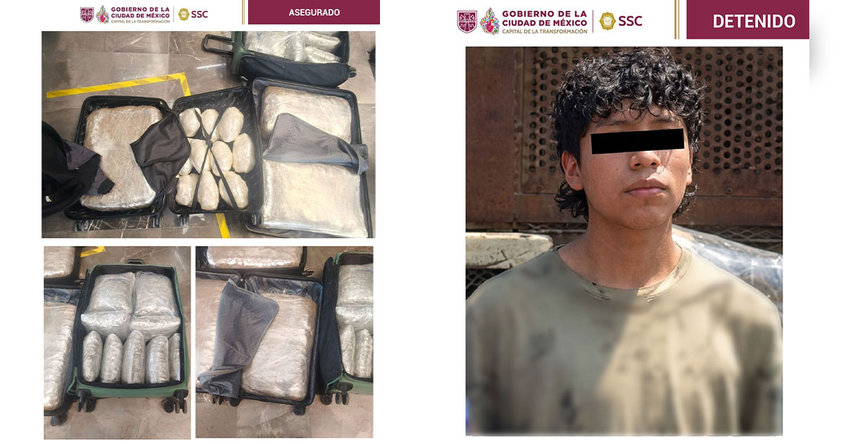 Detienen en la TAPO a joven con 47 kilos de presunta marihuana con destino a Veracruz Detienen en la TAPO a joven con 47 kilos de presunta marihuana con destino a Veracruz