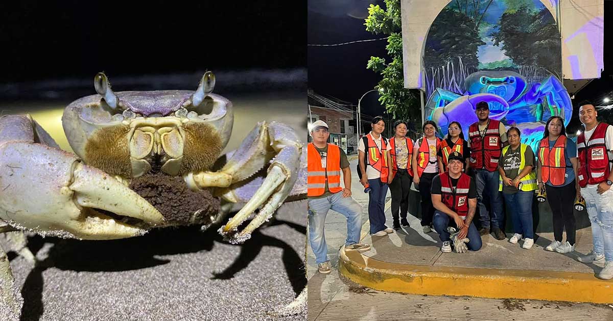 Vida Silvestre reconoce adelanto de veda del cangrejo azul Vida Silvestre reconoce adelanto de veda del cangrejo azul