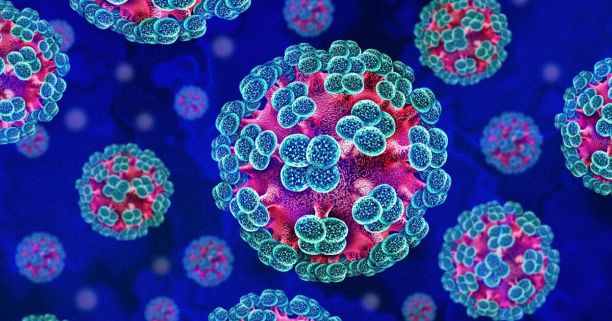 Confirman muerte por hantavirus en Colorado Confirman muerte por hantavirus en Colorado