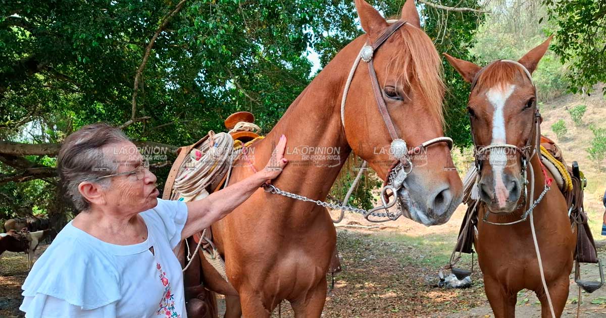Impulsan reforma para fortalecer el agroturismo