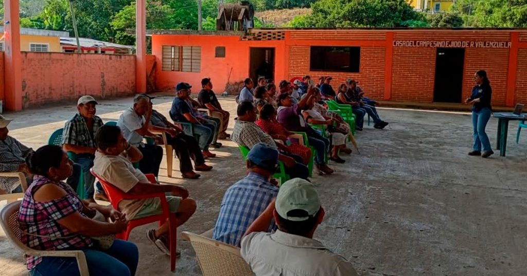 Inician pláticas informativas para prevenir el Gusano Barrenador en comunidades de Gutiérrez Zamora Inician pláticas informativas para prevenir el Gusano Barrenador en comunidades de Gutiérrez Zamora
