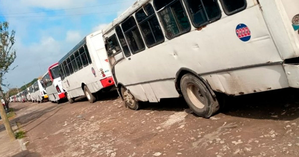 Meterán en regla 80 mil concesiones