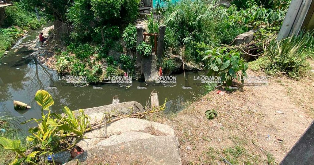 Adanely Rodríguez les hará el puente peatonal en la MAC Adanely Rodríguez les hará el puente peatonal en la MAC