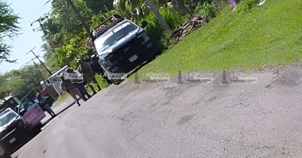 Fuerte operativo y cateo en Potrero del Llano