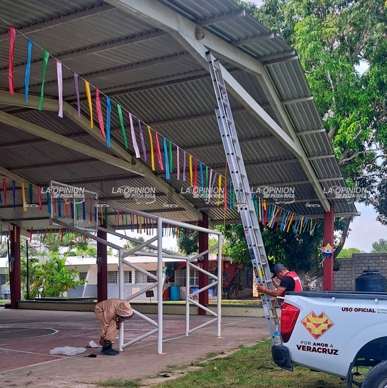 Retiran enjambres de avispas en primaria de El Vizcaíno