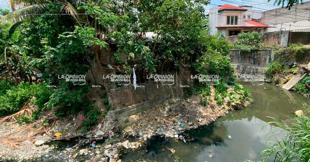 Adanely Rodríguez les hará el puente peatonal en la MAC Adanely Rodríguez les hará el puente peatonal en la MAC