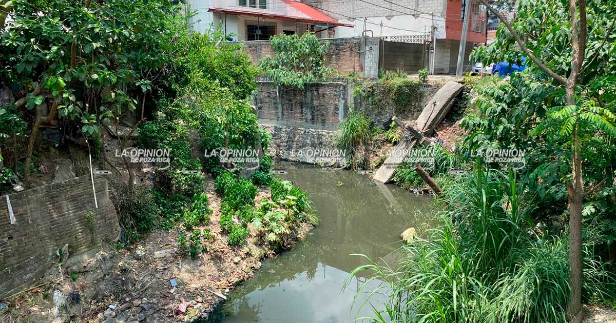 Adanely Rodríguez les hará el puente peatonal en la MAC Adanely Rodríguez les hará el puente peatonal en la MAC