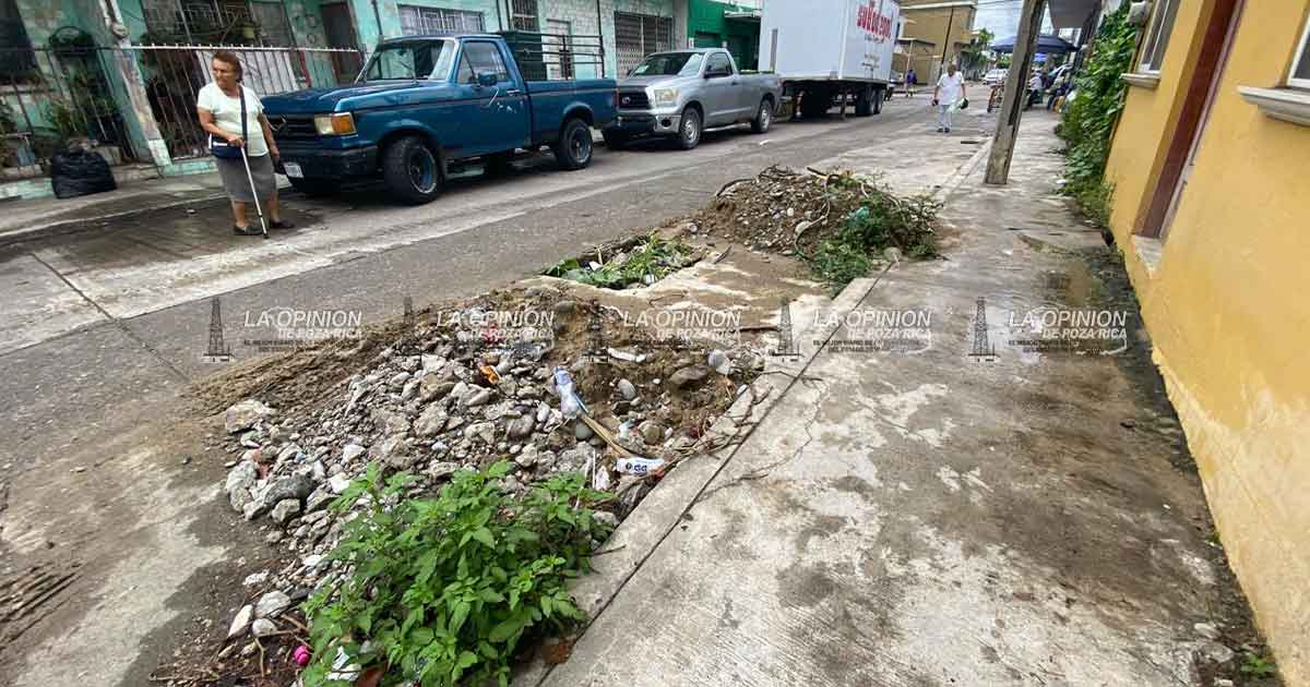 Enormes agujeros y montículos de tierra obstruyen la vialidad