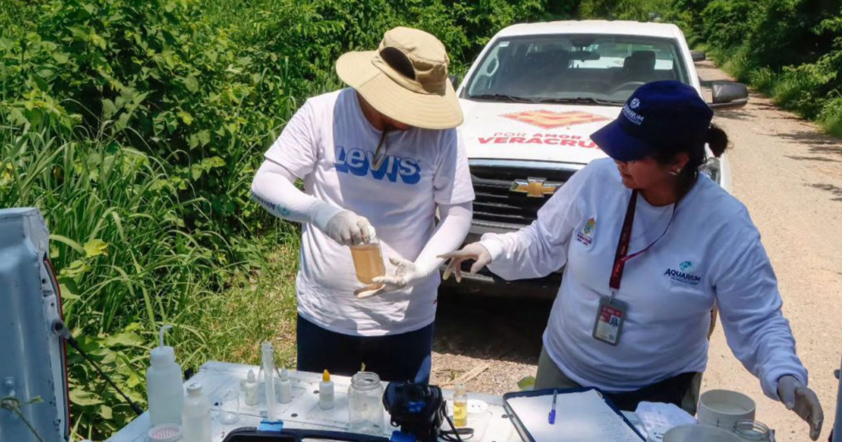 Estado en espera de dictamen de autoridades ambientales sobre mortandad de peces Estado en espera de dictamen de autoridades ambientales sobre mortandad de peces