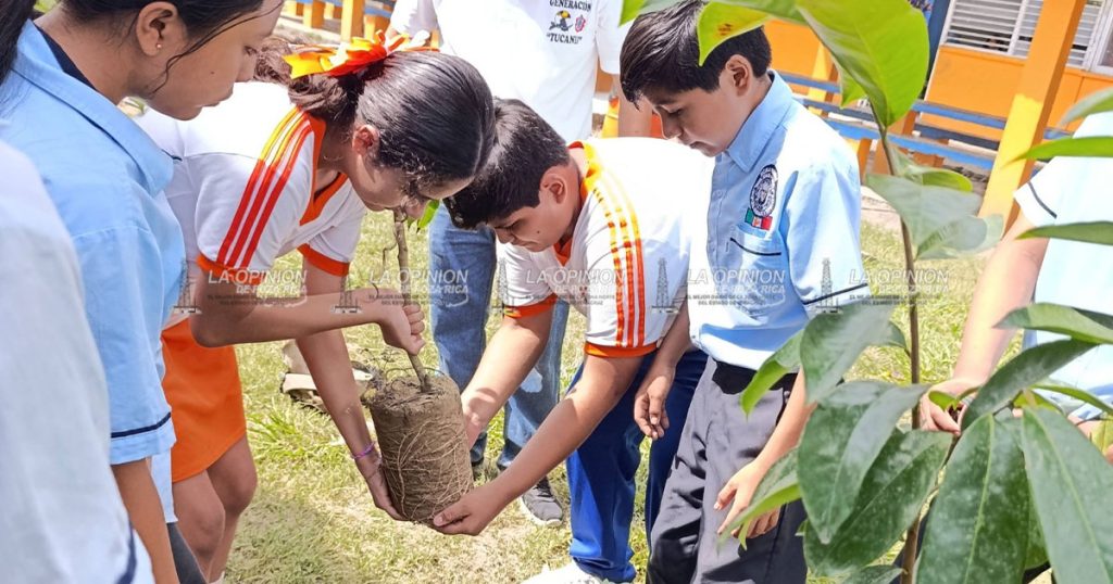 Niños escriben cartas para pedir arbolitos