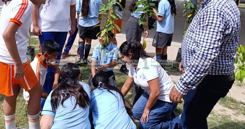 Niños escriben cartas para pedir arbolitos