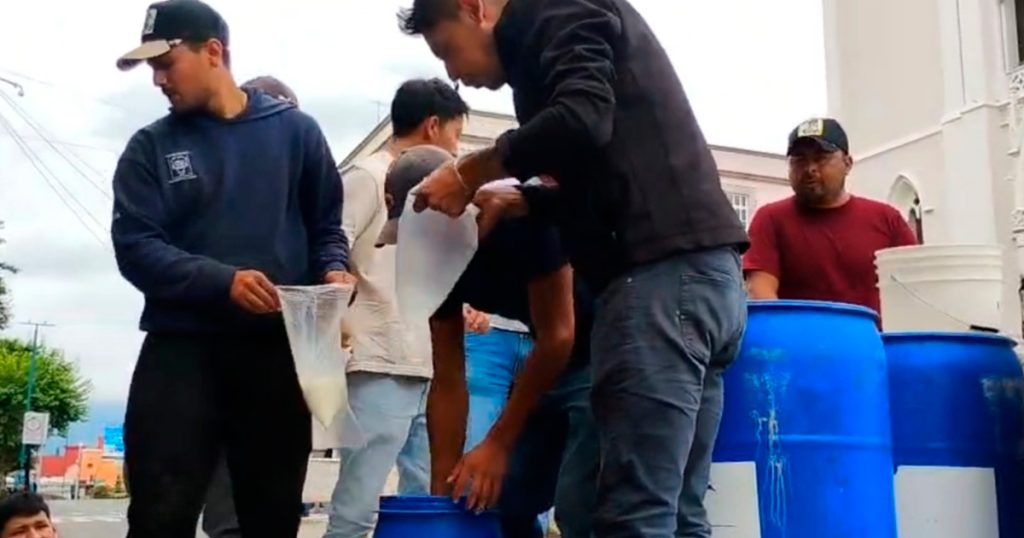 Con vacas y reparto de leche, ganaderos protestan frente al Palacio de Gobierno en Xalapa Con vacas y reparto de leche, ganaderos protestan frente al Palacio de Gobierno en Xalapa