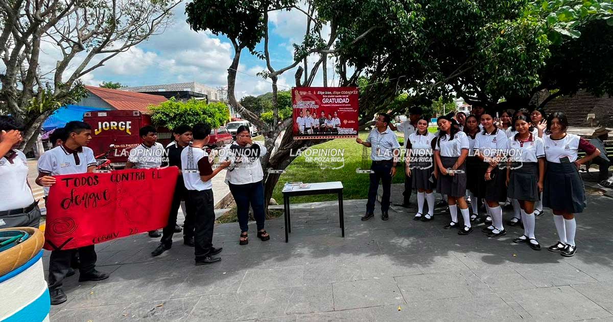 Campaña preventiva en contra del dengue Campaña preventiva en contra del dengue